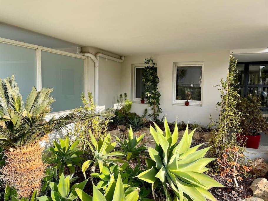21 - Tres Agreable Rdc Avec Terrasse Et Parking Apartamento Bandol Exterior foto