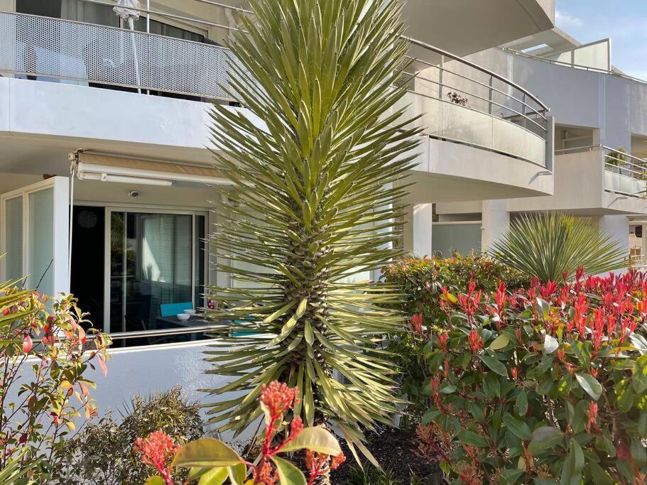 21 - Tres Agreable Rdc Avec Terrasse Et Parking Apartamento Bandol Exterior foto