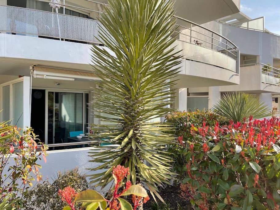 21 - Tres Agreable Rdc Avec Terrasse Et Parking Apartamento Bandol Exterior foto