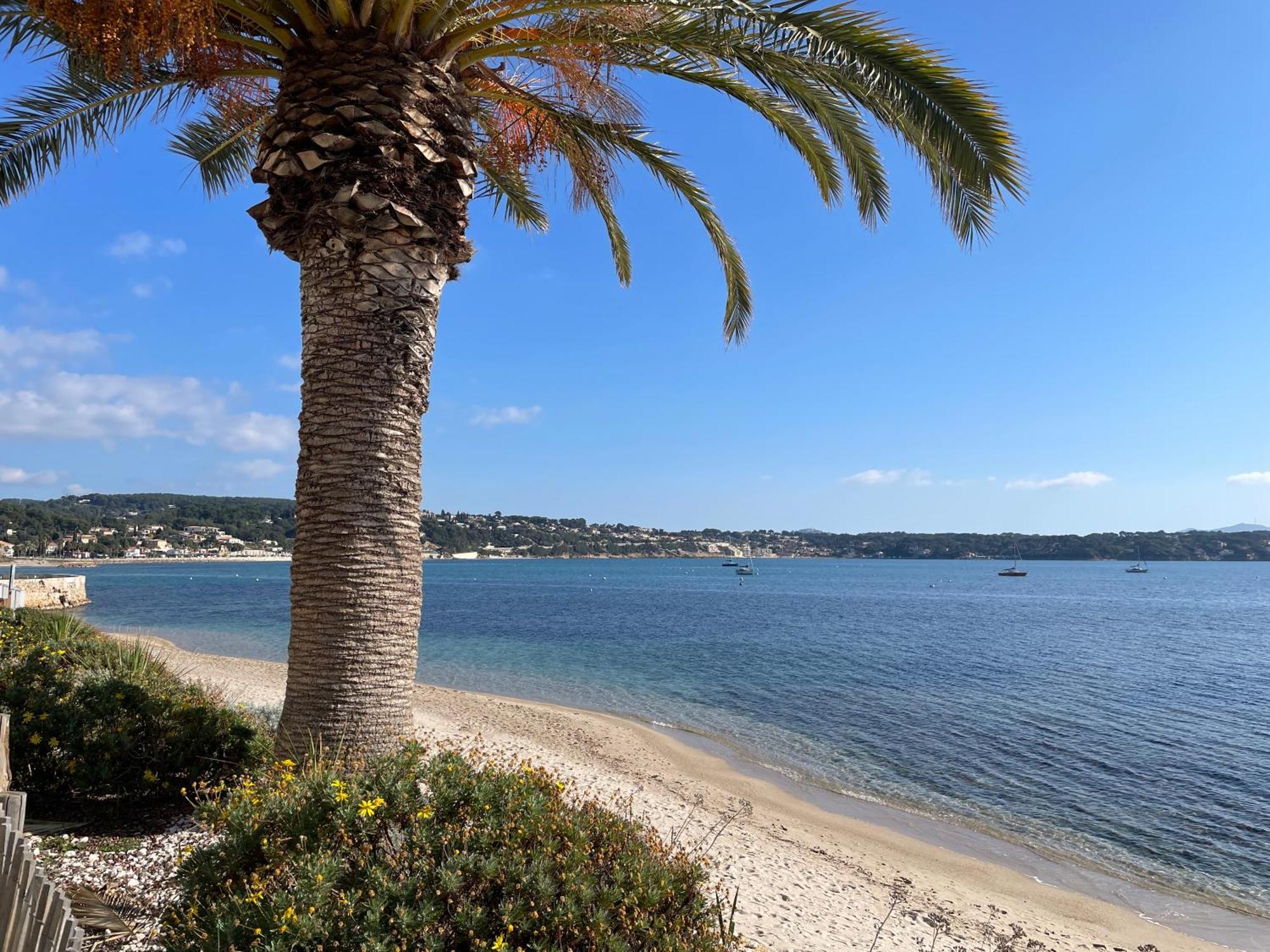 21 - Tres Agreable Rdc Avec Terrasse Et Parking Apartamento Bandol Exterior foto